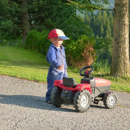 Ferienwohnungen Bachergut Mariapfarr Rom bilde