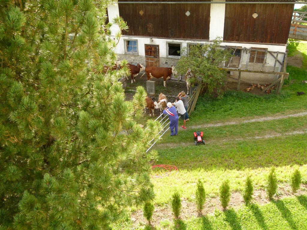 Ferienwohnungen Bachergut Mariapfarr Rom bilde
