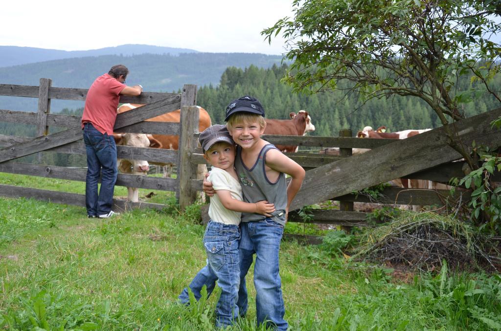 Ferienwohnungen Bachergut Mariapfarr Rom bilde